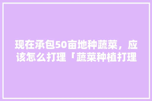 现在承包50亩地种蔬菜，应该怎么打理「蔬菜种植打理技巧图解视频」 现在承包50亩地种蔬菜，应该怎么打理「蔬菜种植打理技巧图解视频」 植物种类