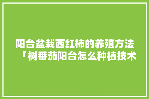 阳台盆栽西红柿的养殖方法「树番茄阳台怎么种植技术视频」 阳台盆栽西红柿的养殖方法「树番茄阳台怎么种植技术视频」 植物种类