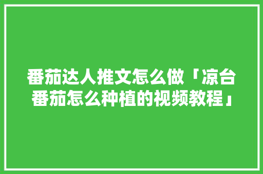 番茄达人推文怎么做「凉台番茄怎么种植的视频教程」 番茄达人推文怎么做「凉台番茄怎么种植的视频教程」 番茄种植技巧