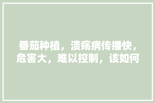 番茄种植，溃疡病传播快，危害大，难以控制，该如何进行防治呢「番茄溃疡病的防治」 番茄种植，溃疡病传播快，危害大，难以控制，该如何进行防治呢「番茄溃疡病的防治」 番茄病虫害防治