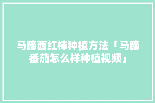 马蹄西红柿种植方法「马蹄番茄怎么样种植视频」 马蹄西红柿种植方法「马蹄番茄怎么样种植视频」 农业常识