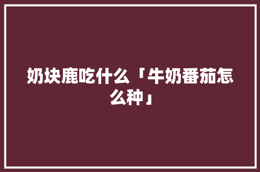 奶块鹿吃什么「牛奶番茄怎么种」