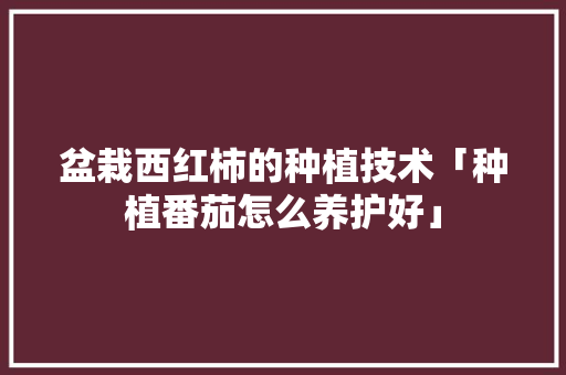 盆栽西红柿的种植技术「种植番茄怎么养护好」 盆栽西红柿的种植技术「种植番茄怎么养护好」 番茄病虫害防治