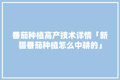 番茄种植高产技术详情「新疆番茄种植怎么中耕的」