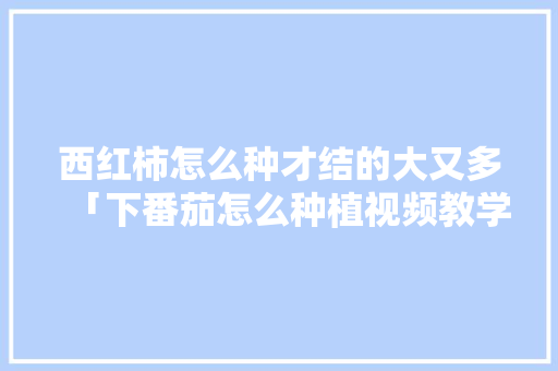 西红柿怎么种才结的大又多「下番茄怎么种植视频教学全集」 西红柿怎么种才结的大又多「下番茄怎么种植视频教学全集」 花朵知识