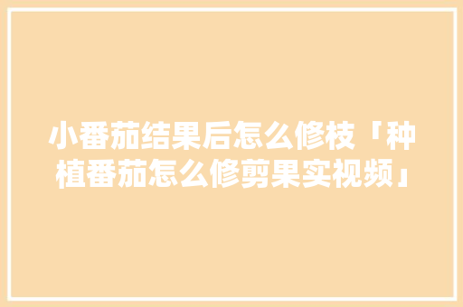 小番茄结果后怎么修枝「种植番茄怎么修剪果实视频」 小番茄结果后怎么修枝「种植番茄怎么修剪果实视频」 番茄种植技巧