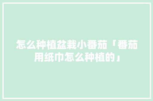 怎么种植盆栽小番茄「番茄用纸巾怎么种植的」 怎么种植盆栽小番茄「番茄用纸巾怎么种植的」 植物种类