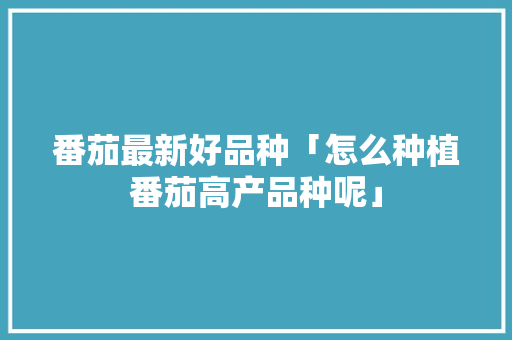 番茄最新好品种「怎么种植番茄高产品种呢」 番茄最新好品种「怎么种植番茄高产品种呢」 花朵知识