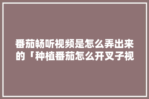 番茄畅听视频是怎么弄出来的「种植番茄怎么开叉子视频教程」 番茄畅听视频是怎么弄出来的「种植番茄怎么开叉子视频教程」 植物种类