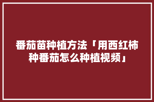 番茄苗种植方法「用西红柿种番茄怎么种植视频」 番茄苗种植方法「用西红柿种番茄怎么种植视频」 种植技巧