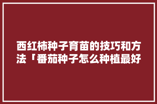 西红柿种子育苗的技巧和方法「番茄种子怎么种植最好呢视频」 西红柿种子育苗的技巧和方法「番茄种子怎么种植最好呢视频」 番茄种植技巧
