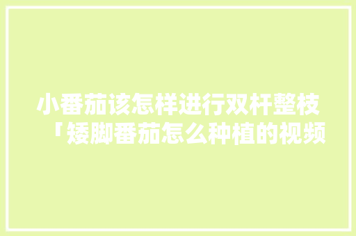 小番茄该怎样进行双杆整枝「矮脚番茄怎么种植的视频教程」 小番茄该怎样进行双杆整枝「矮脚番茄怎么种植的视频教程」 植物种类