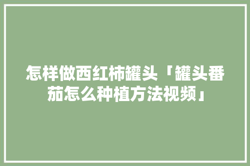 怎样做西红柿罐头「罐头番茄怎么种植方法视频」