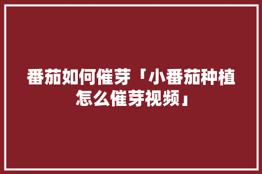 番茄如何催芽「小番茄种植怎么催芽视频」 番茄如何催芽「小番茄种植怎么催芽视频」 花朵知识