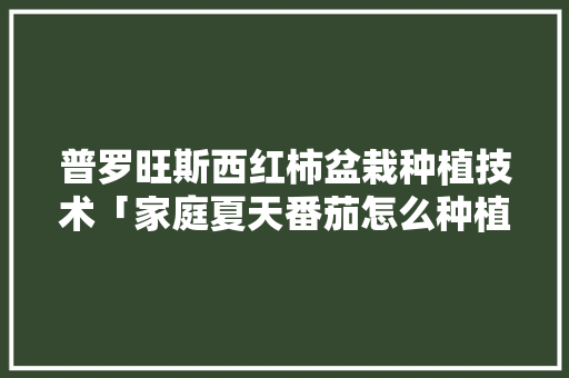 普罗旺斯西红柿盆栽种植技术「家庭夏天番茄怎么种植视频」 普罗旺斯西红柿盆栽种植技术「家庭夏天番茄怎么种植视频」 农业常识