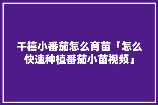 千禧小番茄怎么育苗「怎么快速种植番茄小苗视频」 千禧小番茄怎么育苗「怎么快速种植番茄小苗视频」 农业常识