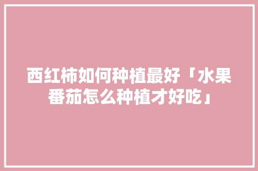 西红柿如何种植最好「水果番茄怎么种植才好吃」 西红柿如何种植最好「水果番茄怎么种植才好吃」 土壤施肥