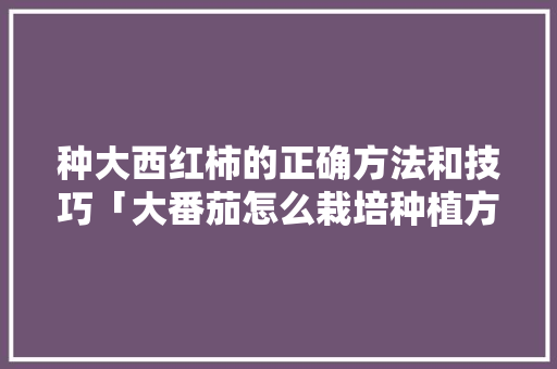 种大西红柿的正确方法和技巧「大番茄怎么栽培种植方法视频」 种大西红柿的正确方法和技巧「大番茄怎么栽培种植方法视频」 土壤施肥