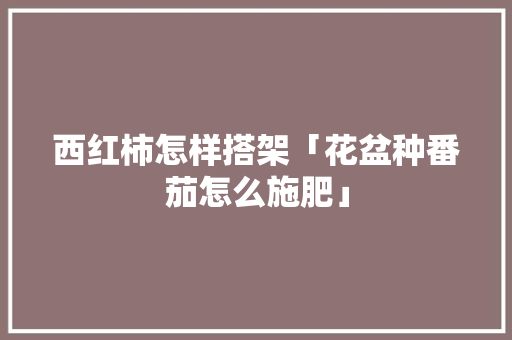 西红柿怎样搭架「花盆种番茄怎么施肥」 西红柿怎样搭架「花盆种番茄怎么施肥」 种植技巧