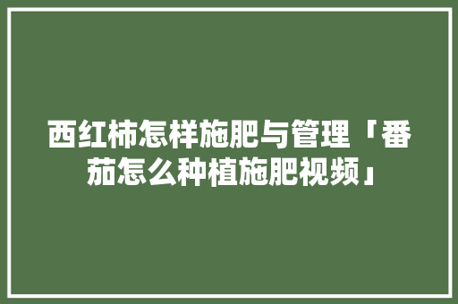 西红柿怎样施肥与管理「番茄怎么种植施肥视频」 西红柿怎样施肥与管理「番茄怎么种植施肥视频」 番茄种植技巧