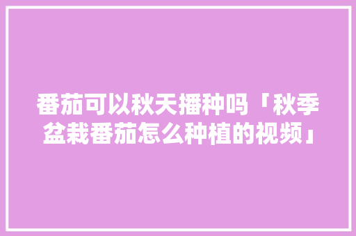 番茄可以秋天播种吗「秋季盆栽番茄怎么种植的视频」 番茄可以秋天播种吗「秋季盆栽番茄怎么种植的视频」 花朵知识