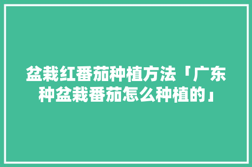 盆栽红番茄种植方法「广东种盆栽番茄怎么种植的」 盆栽红番茄种植方法「广东种盆栽番茄怎么种植的」 农业常识