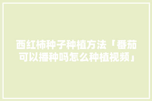 西红柿种子种植方法「番茄可以播种吗怎么种植视频」 西红柿种子种植方法「番茄可以播种吗怎么种植视频」 番茄种植技巧