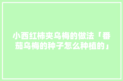 小西红柿夹乌梅的做法「番茄乌梅的种子怎么种植的」