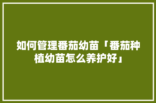 如何管理番茄幼苗「番茄种植幼苗怎么养护好」 如何管理番茄幼苗「番茄种植幼苗怎么养护好」 农业常识