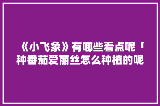 《小飞象》有哪些看点呢「种番茄爱丽丝怎么种植的呢」 《小飞象》有哪些看点呢「种番茄爱丽丝怎么种植的呢」 花朵知识