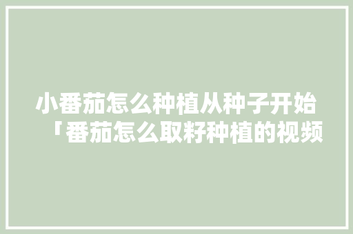 小番茄怎么种植从种子开始「番茄怎么取籽种植的视频」 小番茄怎么种植从种子开始「番茄怎么取籽种植的视频」 农业常识