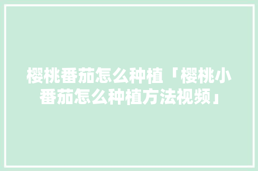 樱桃番茄怎么种植「樱桃小番茄怎么种植方法视频」 樱桃番茄怎么种植「樱桃小番茄怎么种植方法视频」 种植技巧