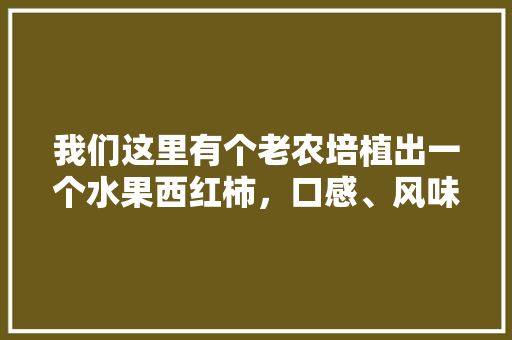 我们这里有个老农培植出一个水果西红柿，口感、风味特佳，如何把它做成一个项目呢「番茄怎么在水里种植视频教程」 我们这里有个老农培植出一个水果西红柿，口感、风味特佳，如何把它做成一个项目呢「番茄怎么在水里种植视频教程」 土壤施肥