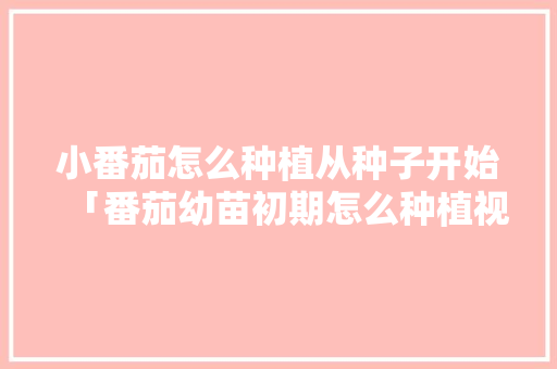 小番茄怎么种植从种子开始「番茄幼苗初期怎么种植视频」 小番茄怎么种植从种子开始「番茄幼苗初期怎么种植视频」 种植技巧