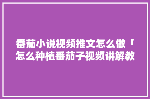 番茄小说视频推文怎么做「怎么种植番茄子视频讲解教程」 番茄小说视频推文怎么做「怎么种植番茄子视频讲解教程」 花朵知识