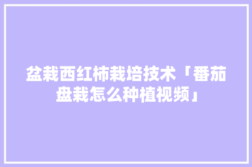 盆栽西红柿栽培技术「番茄盘栽怎么种植视频」 盆栽西红柿栽培技术「番茄盘栽怎么种植视频」 土壤施肥