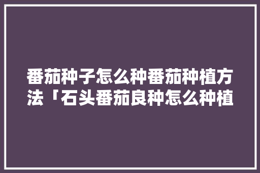 番茄种子怎么种番茄种植方法「石头番茄良种怎么种植视频」 番茄种子怎么种番茄种植方法「石头番茄良种怎么种植视频」 植物种类