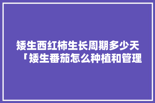 矮生西红柿生长周期多少天「矮生番茄怎么种植和管理」 矮生西红柿生长周期多少天「矮生番茄怎么种植和管理」 花朵知识