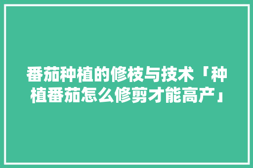 番茄种植的修枝与技术「种植番茄怎么修剪才能高产」