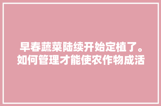 早春蔬菜陆续开始定植了。如何管理才能使农作物成活率高「早春蔬菜种植技巧和方法」 早春蔬菜陆续开始定植了。如何管理才能使农作物成活率高「早春蔬菜种植技巧和方法」 农业常识