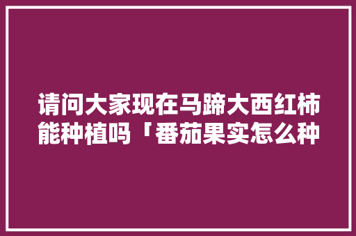 请问大家现在马蹄大西红柿能种植吗「番茄果实怎么种植视频」 请问大家现在马蹄大西红柿能种植吗「番茄果实怎么种植视频」 植物种类