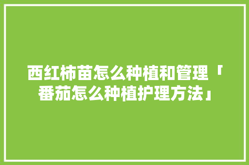 西红柿苗怎么种植和管理「番茄怎么种植护理方法」 西红柿苗怎么种植和管理「番茄怎么种植护理方法」 花朵知识