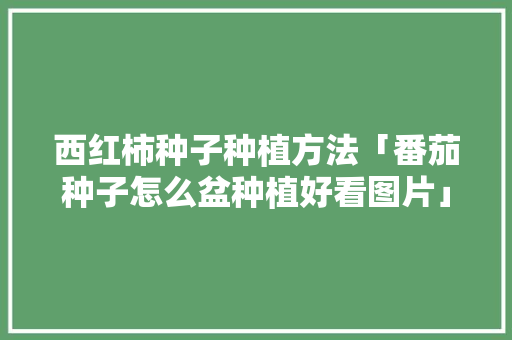 西红柿种子种植方法「番茄种子怎么盆种植好看图片」 西红柿种子种植方法「番茄种子怎么盆种植好看图片」 花朵知识