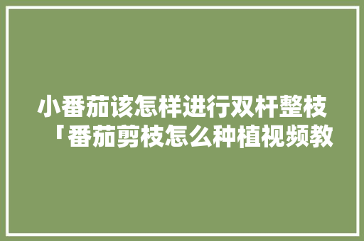 小番茄该怎样进行双杆整枝「番茄剪枝怎么种植视频教程」 小番茄该怎样进行双杆整枝「番茄剪枝怎么种植视频教程」 种植技巧
