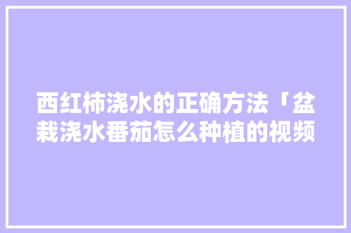 西红柿浇水的正确方法「盆栽浇水番茄怎么种植的视频」 西红柿浇水的正确方法「盆栽浇水番茄怎么种植的视频」 番茄种植技巧