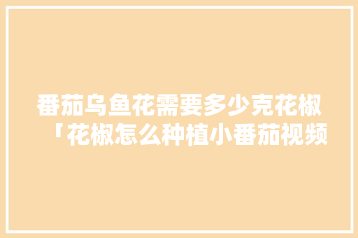 番茄乌鱼花需要多少克花椒「花椒怎么种植小番茄视频」