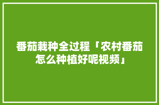 番茄栽种全过程「农村番茄怎么种植好呢视频」 植物种类 番茄栽种全过程「农村番茄怎么种植好呢视频」 番茄栽种全过程「农村番茄怎么种植好呢视频」 植物种类