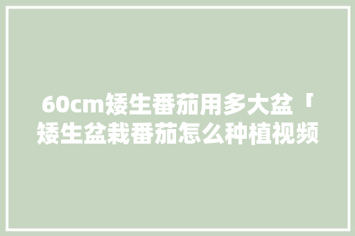 60cm矮生番茄用多大盆「矮生盆栽番茄怎么种植视频」 土壤施肥 60cm矮生番茄用多大盆「矮生盆栽番茄怎么种植视频」 60cm矮生番茄用多大盆「矮生盆栽番茄怎么种植视频」 土壤施肥