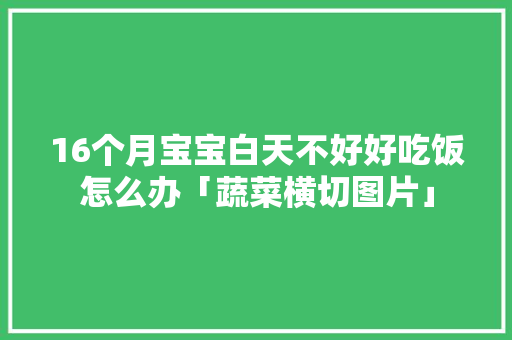 16个月宝宝白天不好好吃饭怎么办「蔬菜横切图片」
