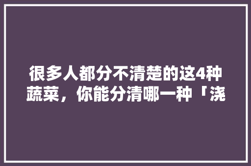 很多人都分不清楚的这4种蔬菜，你能分清哪一种「浇头茄子番茄怎么种植的视频」 很多人都分不清楚的这4种蔬菜，你能分清哪一种「浇头茄子番茄怎么种植的视频」 花朵知识